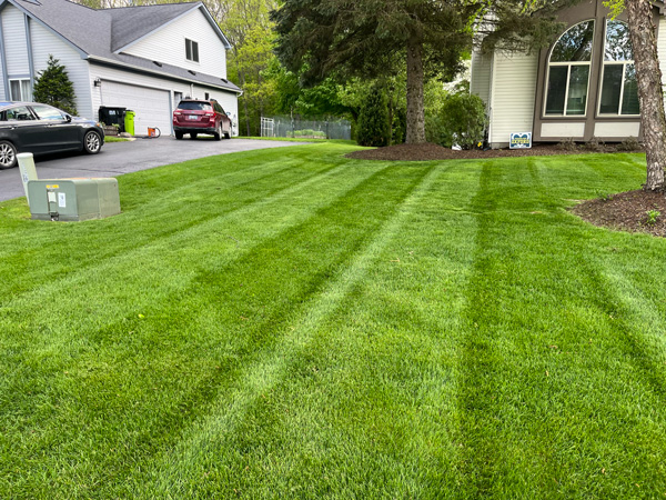 Mowed Lawn